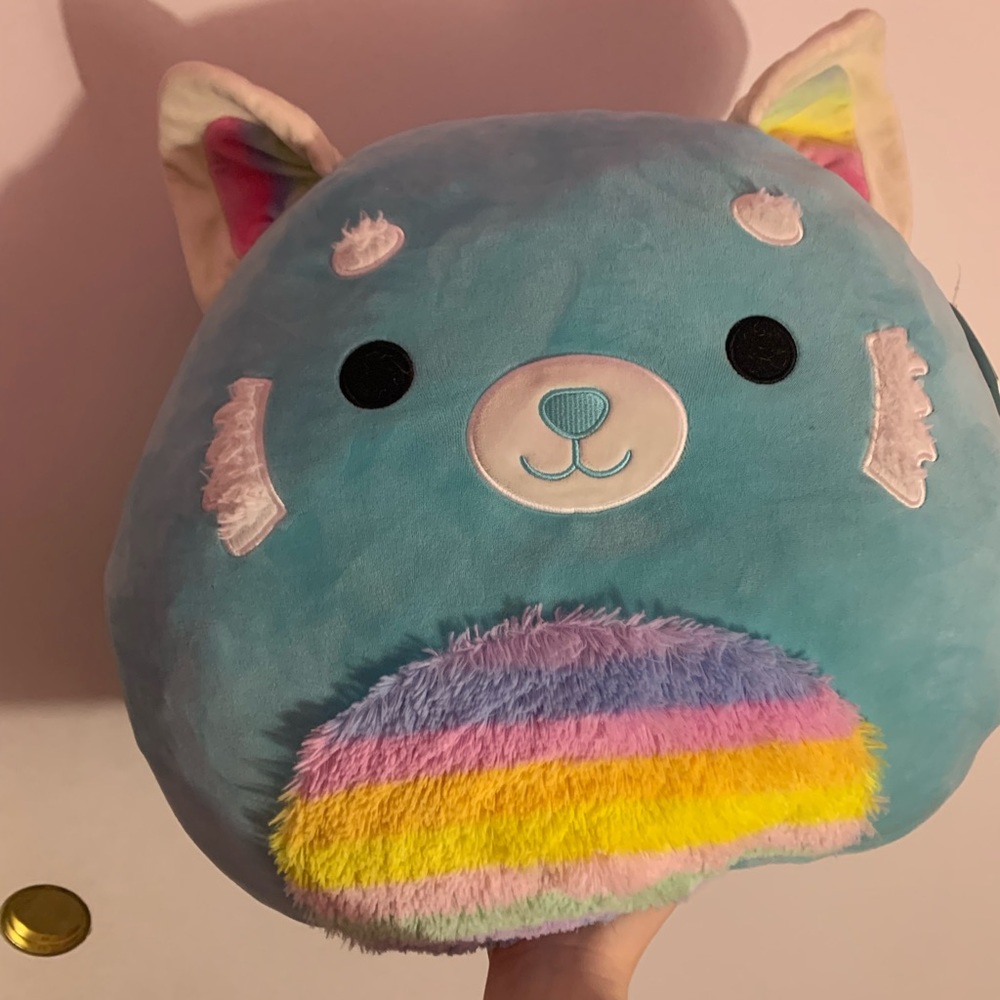 Vanessa the squishmallow with tags